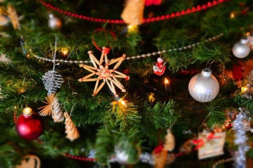 Automated AWS Rekognition Christmas Tree, Tree, Plant, Ornament, Pine